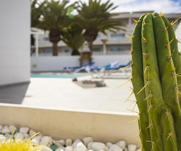 Nico By Escapehome * Puerto del Carmen (Lanzarote)